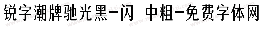 锐字潮牌驰光黑-闪 中粗字体转换